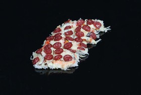 Суши-пицца пепперони - Фото