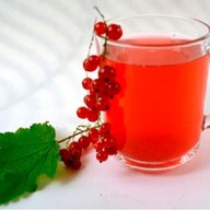 Морс из красной смородины Фото