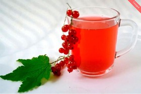 Морс из красной смородины - Фото