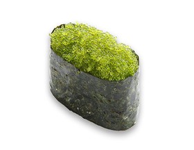 Тобика зеленая - Фото