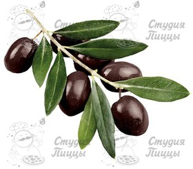 Дополнительные маслины - Фото