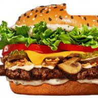 Ангус Сибирский Фото