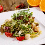Салат с морским гребешком под соусом Фото