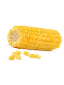 Кукуруза отварная - Фото