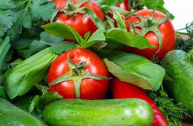 Грунтовые овощи с зеленью - Фото
