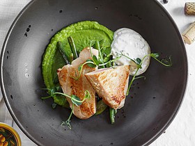 Филе тунца с зеленой фасолью - Фото