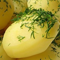 Картофель отварной с зеленью Фото