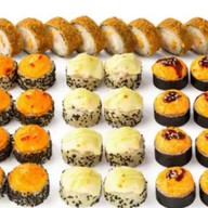 Четыре кальмара Фото